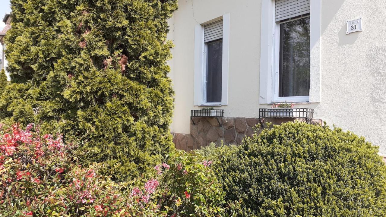 Апартаменти Ekszerdoboz Apartman Еґер Екстер'єр фото
